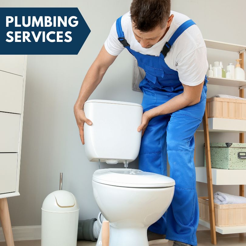 Plumbing Company in Lennon, MI
